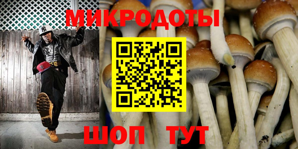 Галлюциногенные грибы ЛСД  Вход с VPN  Буйнакск  Псилоцибиновые грибы Psilocybe 